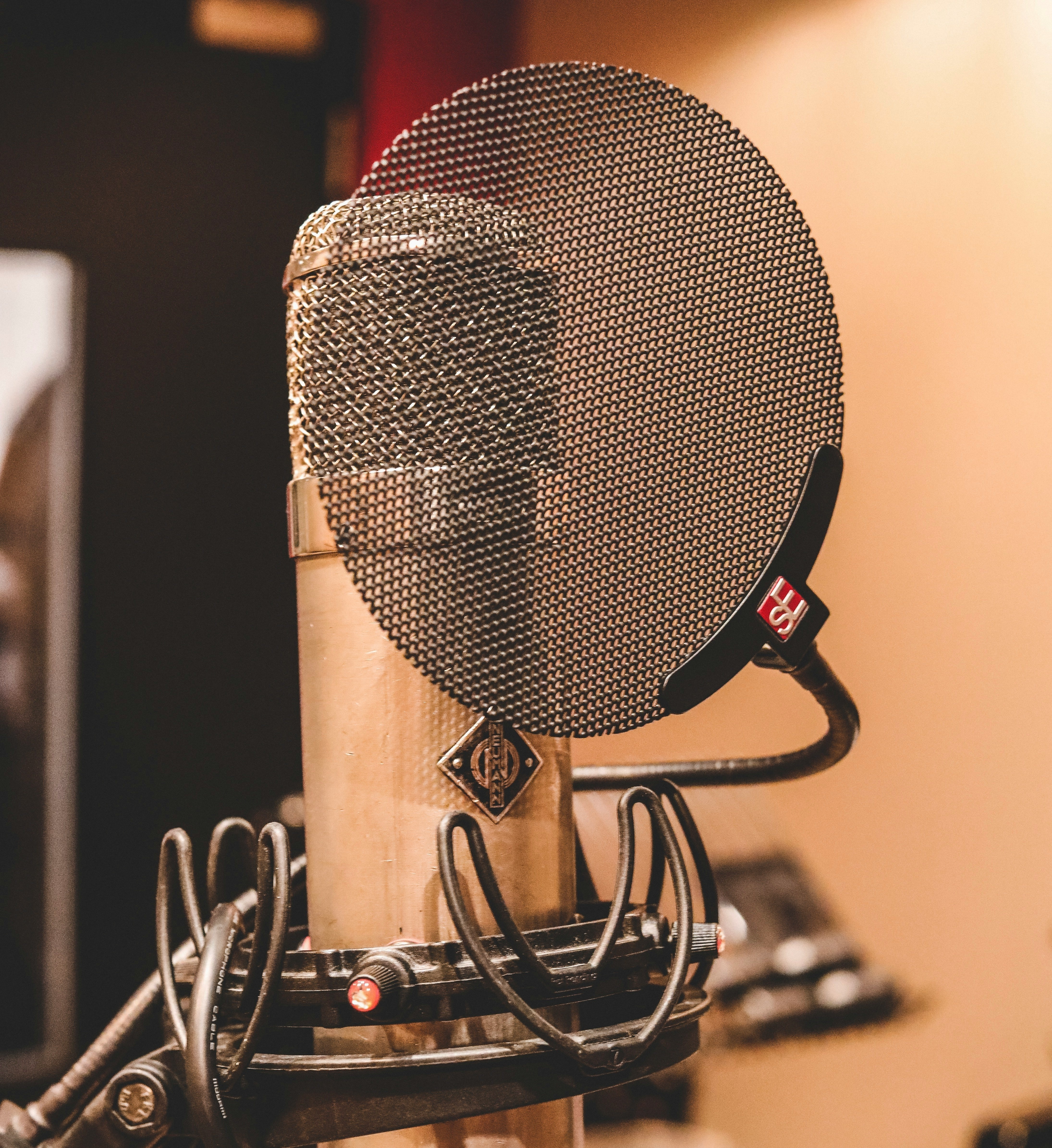 Studio recording mic